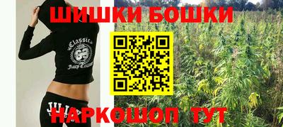 твердый Лесосибирск
