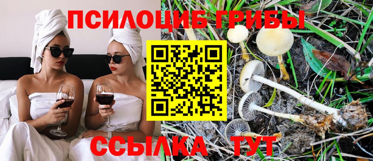 Галлюциногенные грибы MAGIC MUSHROOMS  Вход с VPN  Туймазы 